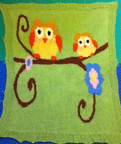 Owls Baby Blanket photo 2
