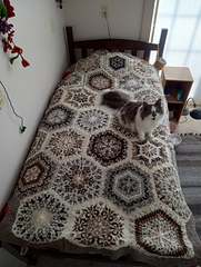 Finally on my bed