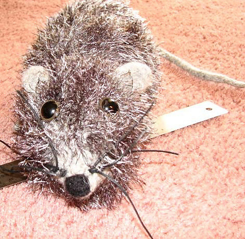 Knit a Rat photo 3