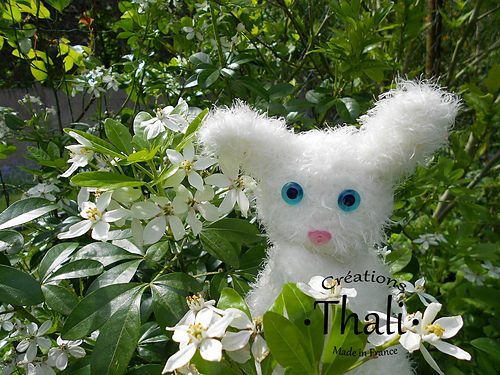 Doudou lapinou photo 4