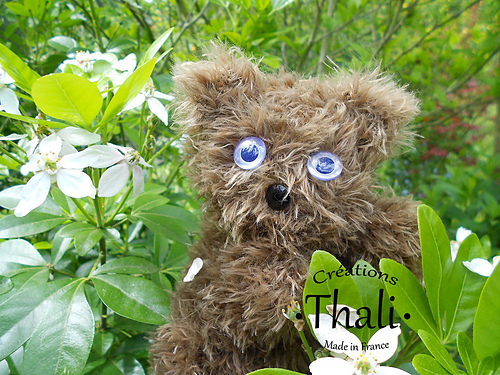 Doudou ourson photo 1