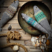 Salty Sardines pattern 