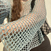 Island Mesh Top pattern