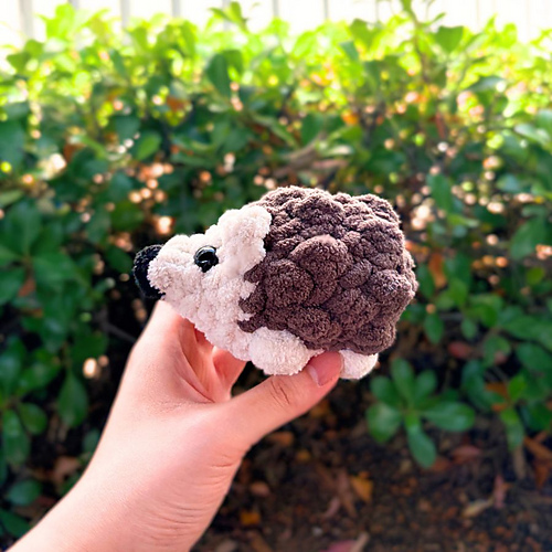 Little Hedgehog