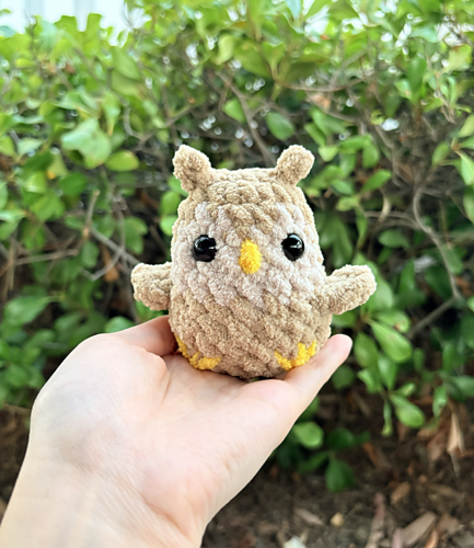 Little Owl