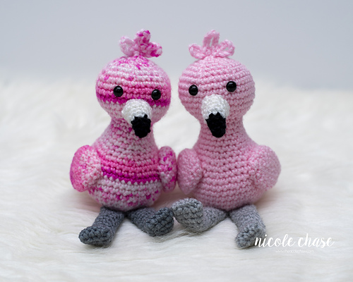 Flora the Flamingo photo 2
