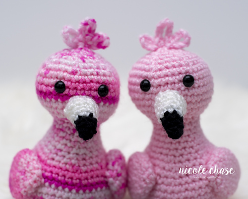 Flora the Flamingo photo 4