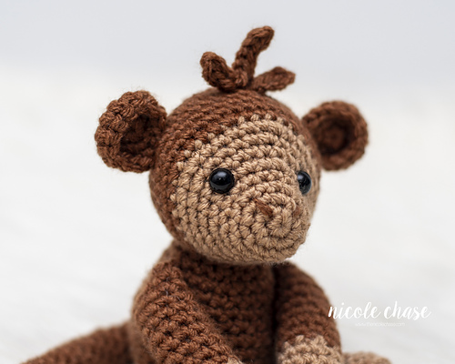 Miles the Monkey photo 3