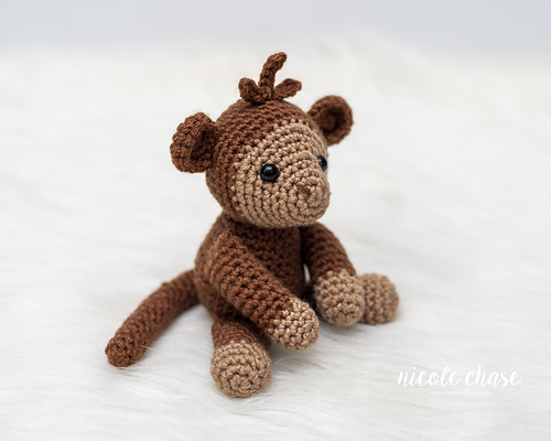 Miles the Monkey photo 4