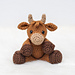 Hazel the Highland Cow photo 3