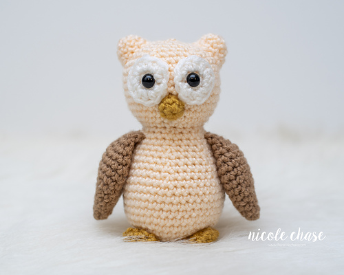 Oswald the Owl photo 2