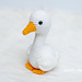 Gwen the Silly Goose photo 4