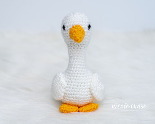 Gwen the Silly Goose photo 4
