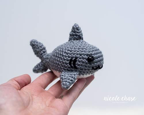 Sheldon the Shark photo 3