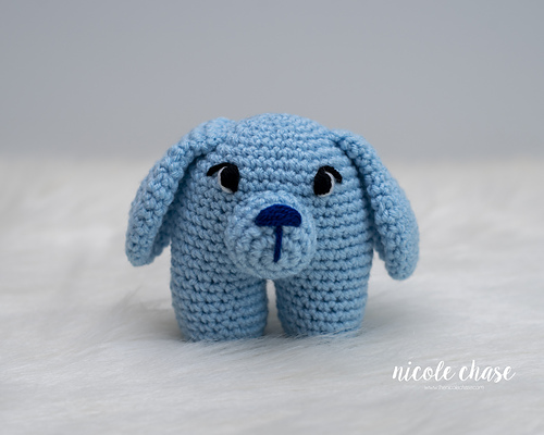 Perry the Puppy photo 2