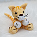 Cooper the Cat pattern 