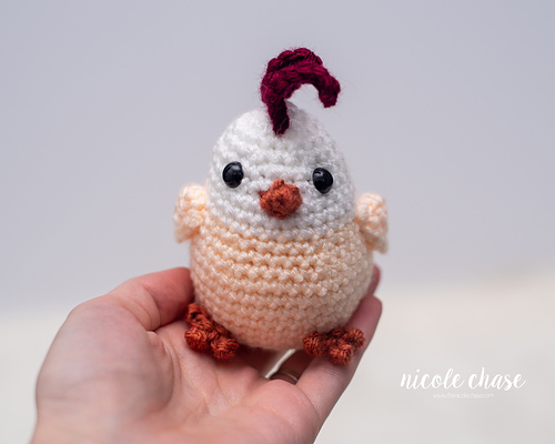 Chandler the Chicken photo 4