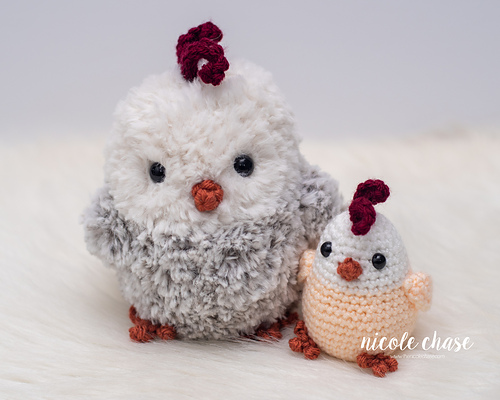 Chandler the Chicken photo 5
