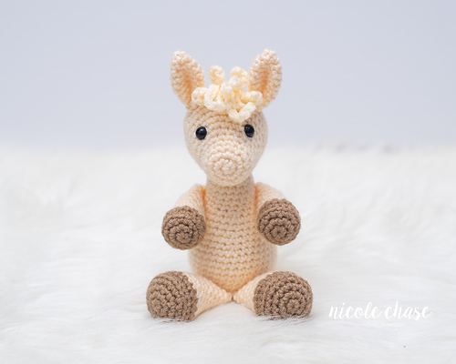 Lyla the Llama photo 2