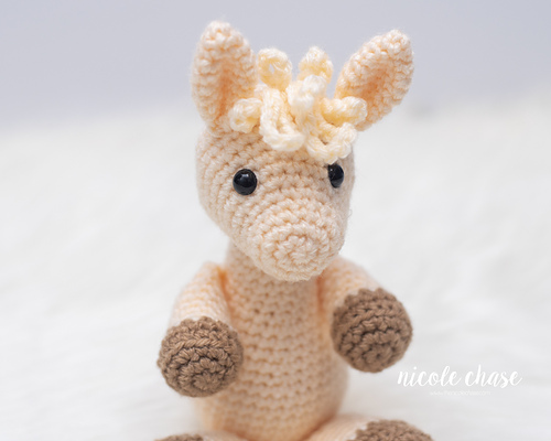 Lyla the Llama photo 4