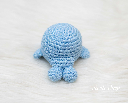 Mini Whale photo 2