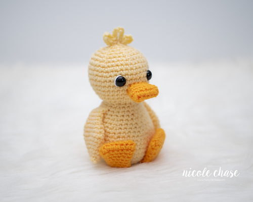 Daphne the Duck photo 5