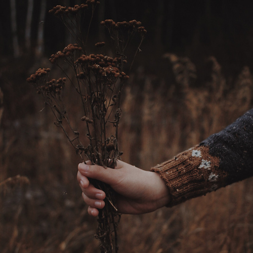 Fox Tales - saskie&co