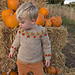 Pumpkin Patch Jumper pattern