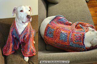 David's Alpine Stitch Pet Dog Hexagon Cardigan Pattern by The Stitch Queen Crochet