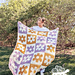Checkered Flower Blanket pattern