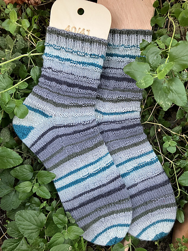 Zaunkönig:in - bythisSchaefle