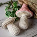 Mushroom amigurumi pattern 