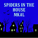 Spiders in the House pattern 