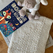 Bouclettes Baby Blanket pattern 
