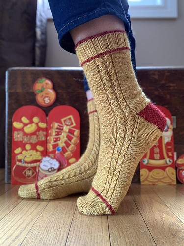 Year of the horse socks