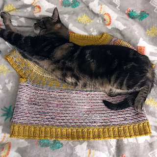 Jerk cat