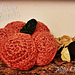 Pretty Plumpkin photo 3