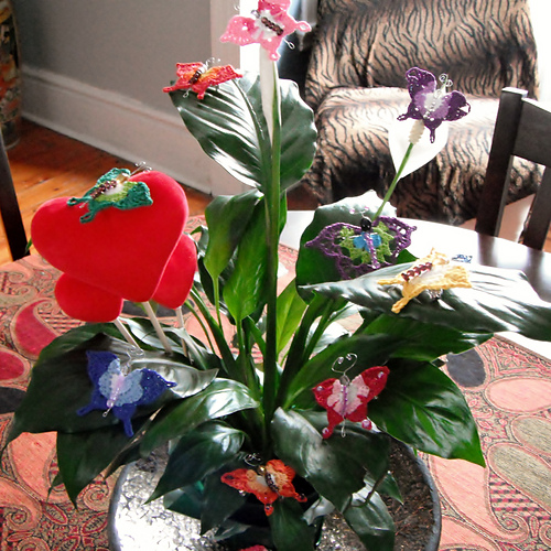 Sweet Butterfly photo 2