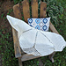 Galway Shawl photo 4