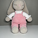 Bunny In Overalls pattern 