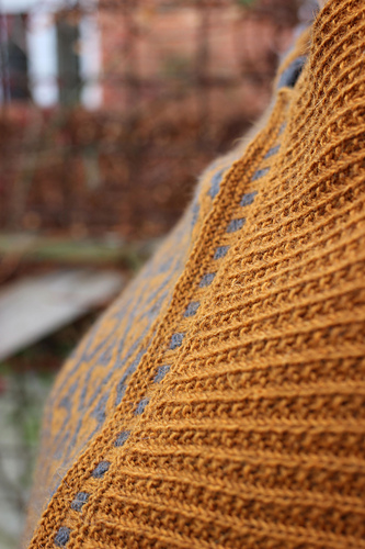 Dobbelttak - Åsa Tricosa