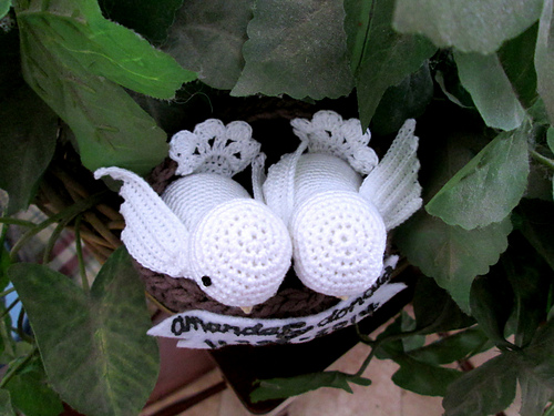 Cute Bird photo 4
