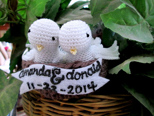 Cute Bird photo 8