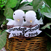 Cute Bird photo 3