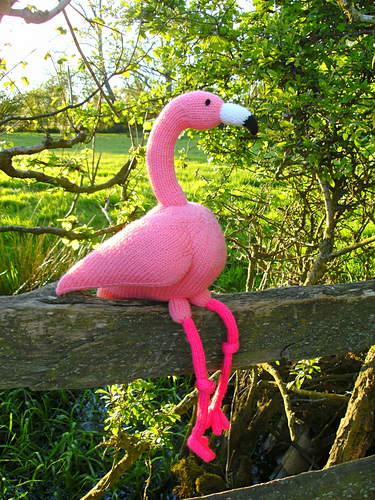 Felipe Flamingo - Trish Roberts / trishlemoose