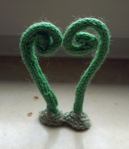 Fern Heart photo 3