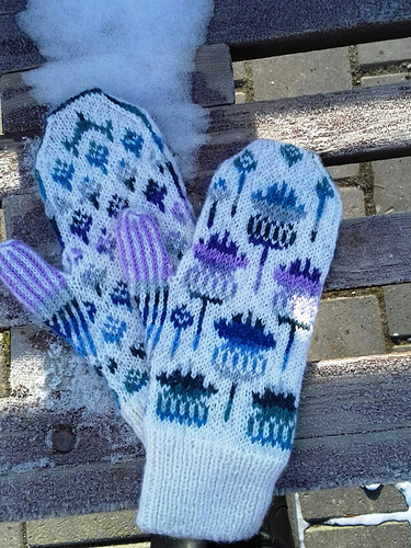 Vottene Hvitbladtistel / Melancholy Thistle - utkina