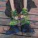 Lichen Mossy Warmers Set pattern 