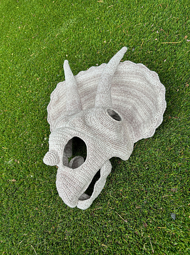 Chomp- Triceratops-skalle - Veraquin