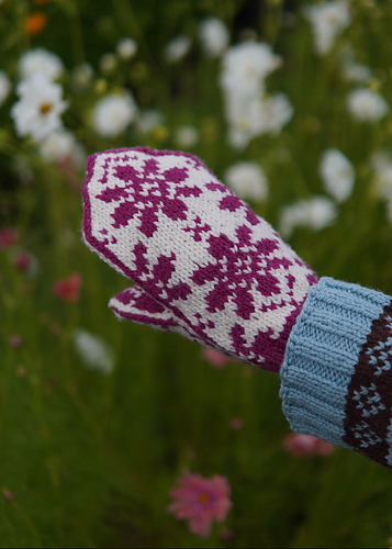 The Balsamroot Mitten